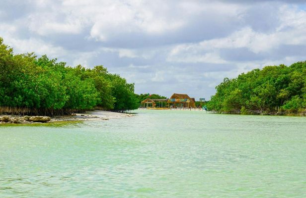 Isla Columpios half-day trip with pick-up from Mérida