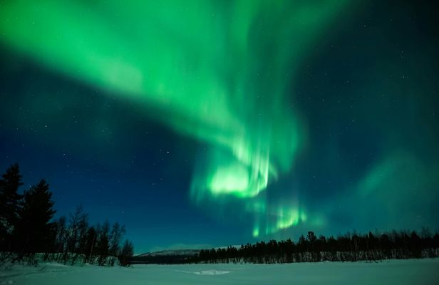 Northern Lights evening guided tour with reindeer encounter