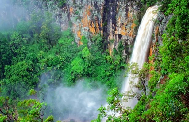 Natural Bridge and Springbrook tour