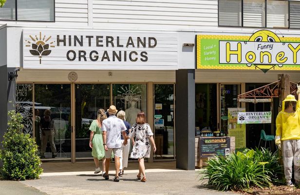 Guided rainforest tour on Tamborine Mountain and produce tastings