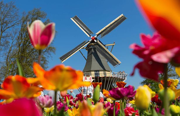 Keukenhof tickets and guided tour with an audio guided transfer