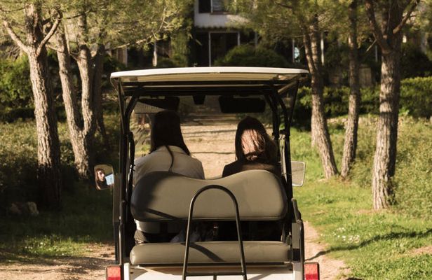 Guided tour of the vineyard and art collection in a buggy