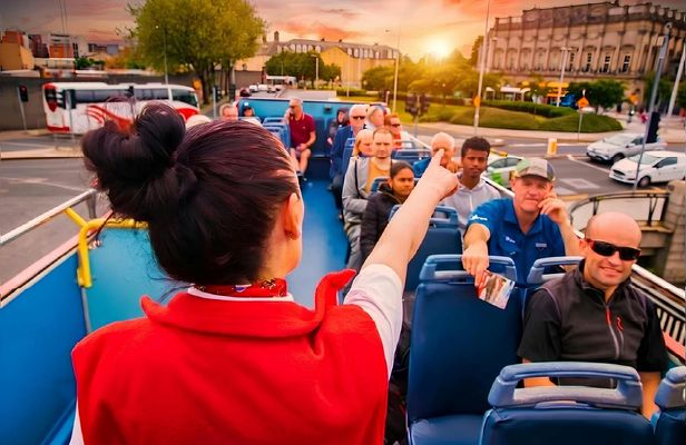 Evening panoramic bus tour of Dublin with a live guide