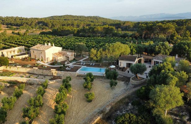 Mallorcan olive oil night with gastronomic tasting experience