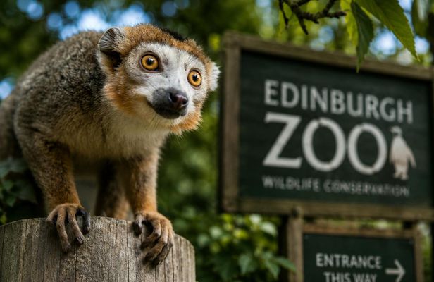 Edinburgh Zoo entrance ticket included eSIM