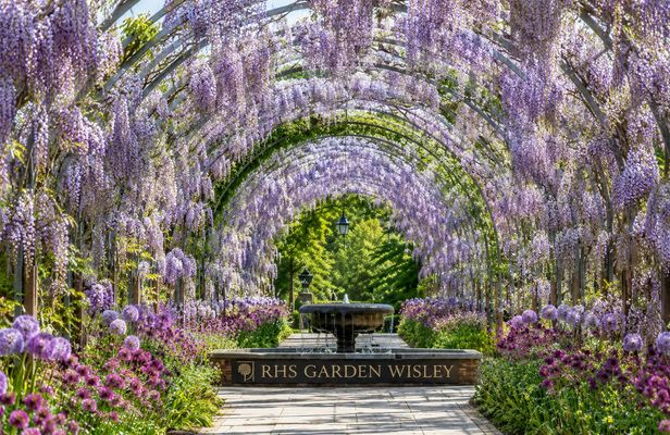RHS Garden Wisley entry ticket with London audio guide and eSIM