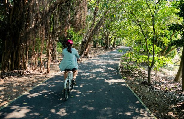 Bangkok bike ride and long-tail boat tour with Thai meal