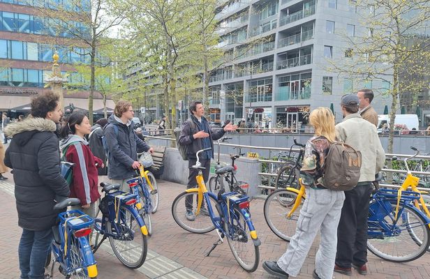 Private tour with local guide in Rotterdam