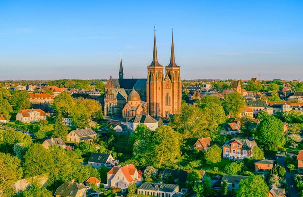 Denmark's Viking Age and royal history day tour from Copenhagen