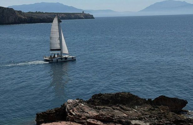 Sailing catamaran tour along the Terrasini coast