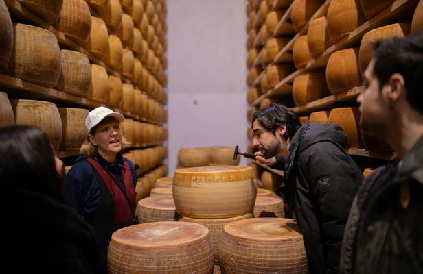 Factory tasting, wines and traditional lunch