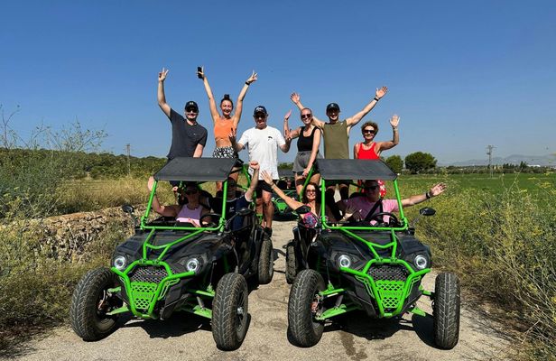 Guided buggy tour with a crystal-clear beach swim stop