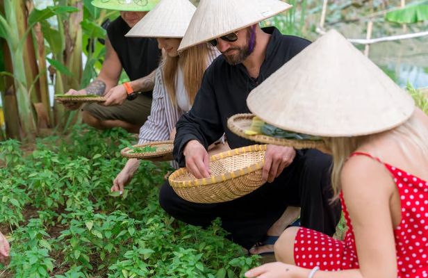 Vietnamese cooking class and market tour experience