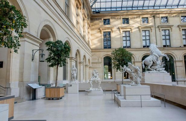 Guided tour of the Louvre Museum with Seine river cruise ticket
