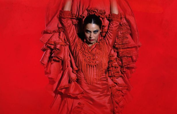 The premium experience at Teatro Flamenco Sevilla