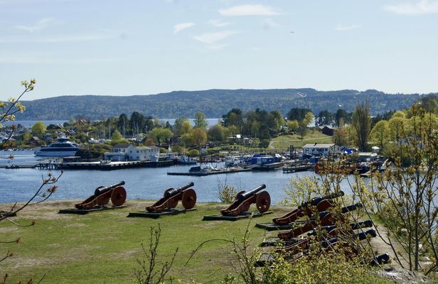 Three islands in three hours guided tour in Oslo