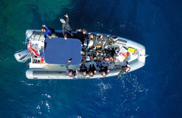 Tavolara protected area snorkelling experience from San Teodoro