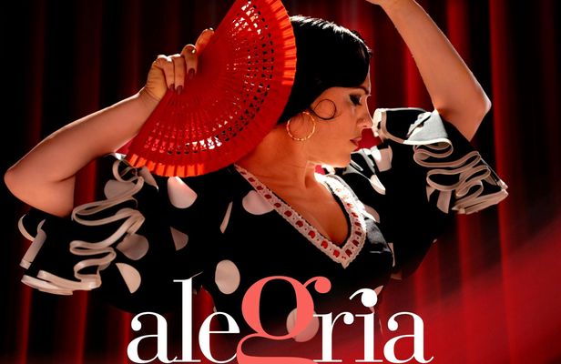 1-hour flamenco show at Malaga's Alegría