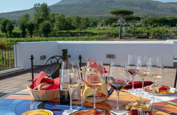 Vesuvius vineyards tour with wine tasting and local lunch