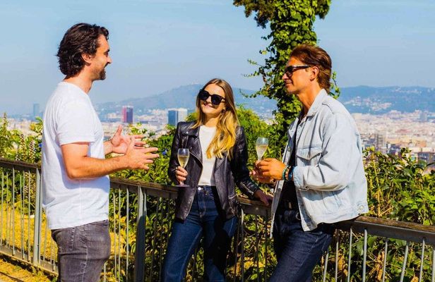 Half-day Barcelona tour by sidecar with private guide