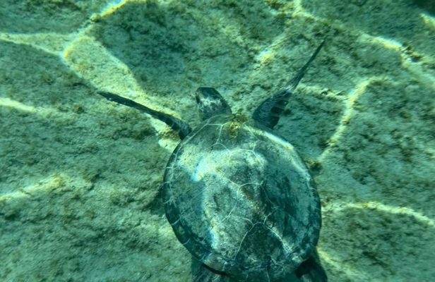 Lindos Cave and snorkelling 3-hour private cruise