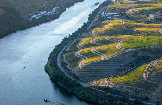 Douro sunset party cruise with DJ and open wine bar
