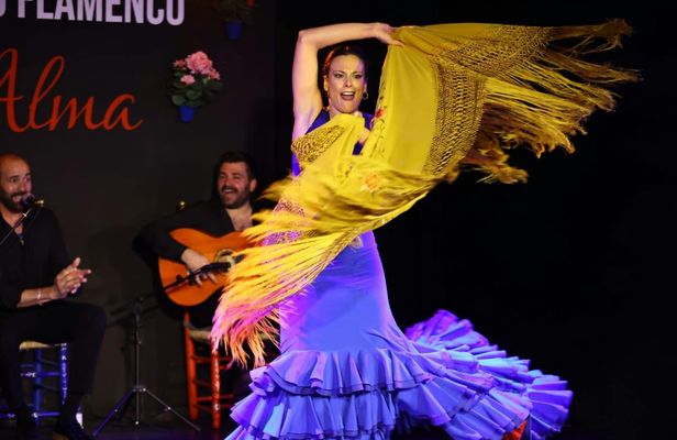 Flamenco Show at Tablao Flamenco Alma