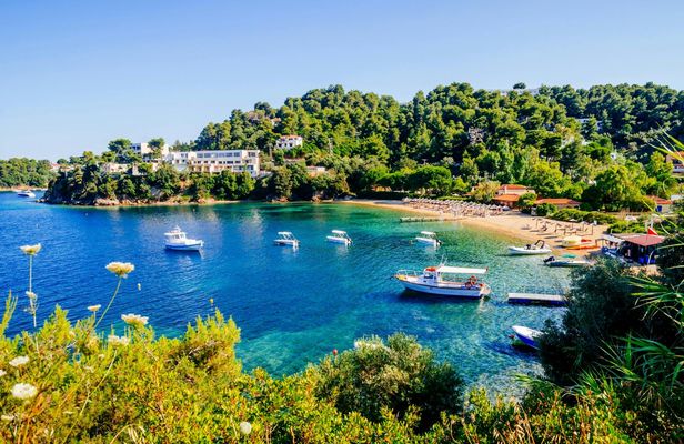 Boat tour to Skiathos from Agios Ioannis and Mouresi