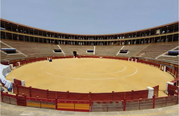 Alicante Bullring and Central Market tour with tastings