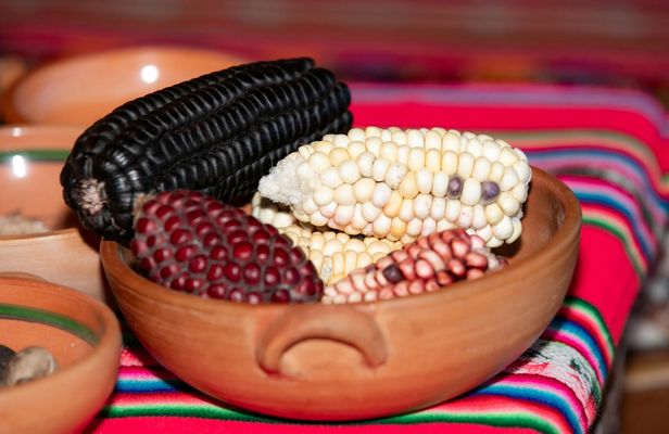 Three-day Luquina family homestay with Lake Titicaca island tour