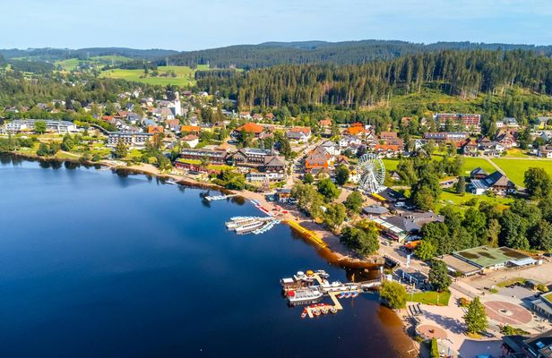 Black Forest day trip from Basel with Lake Titisee and St. Blasien