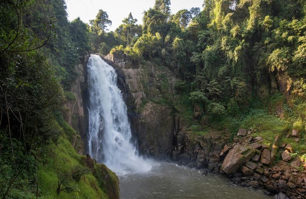 Full-day Khao Yai National Park guided tour from Bangkok