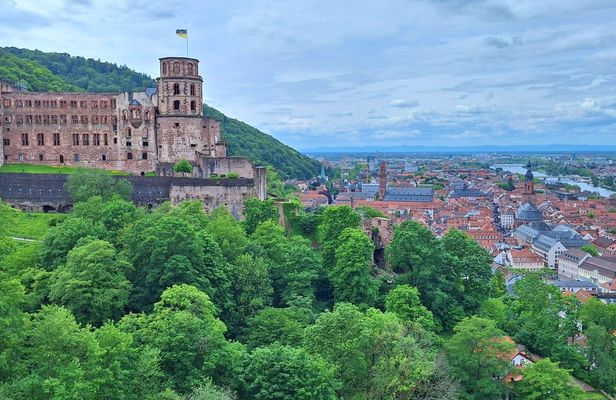 Heidelberg Castle and old town tour with Königstuhl viewpoint
