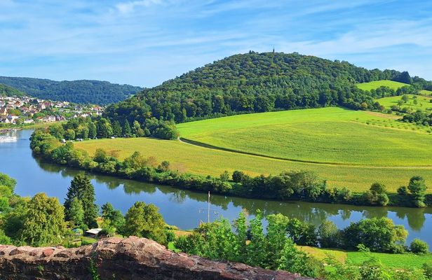 Neckar Valley day tour from Heidelberg with Odenwald hike