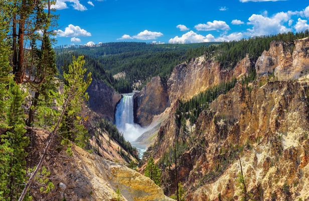 Yellowstone Lower Loop full-day tour