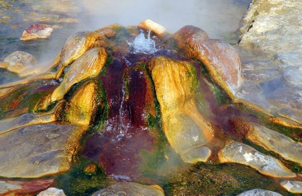 Daily guided Pamukkale tour with pick-up from Denizli Airport