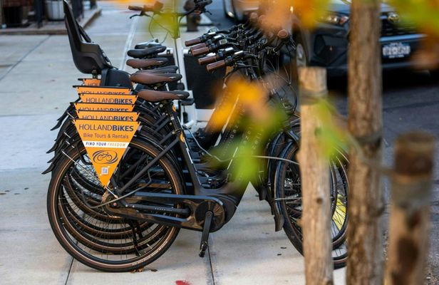 Central Park electric Dutch bike rental experience