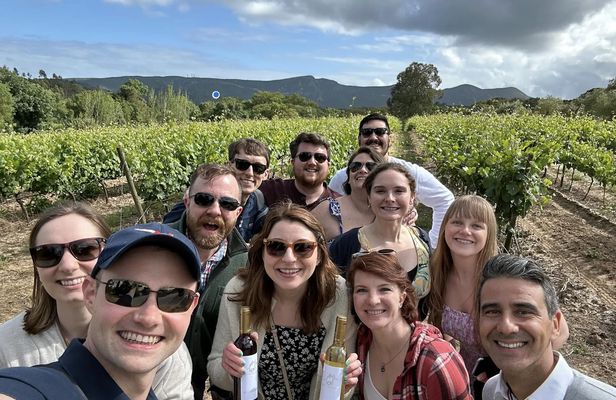 Arrábida small-group wine tour from Lisbon