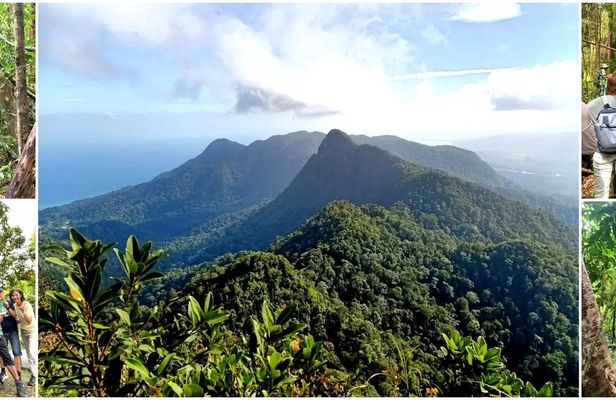Mount Matchinchang Geoforest Park summit hiking experience