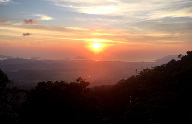Langkawi rainforest guided tour after dark