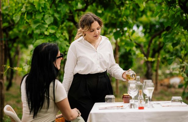 Pompeii tour with Vesuvius horse riding and wine tasting