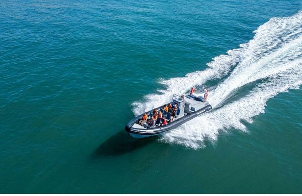 Albufeira dolphins and Benagil caves RIB boat tour