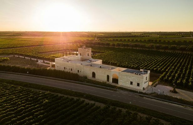 Guided tour and tasting of three wines at Masseria Torleanzi