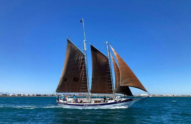 1-hour cruise and lunch experience at Spyced Restaurant in Cape Town