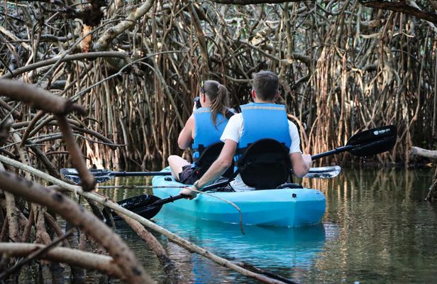 Cancun Nichupté Lagoon morning kayak experience