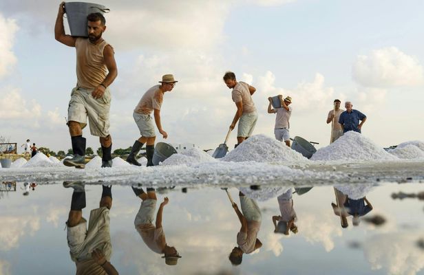 Trapani salt pans, museum and windmill guided tour