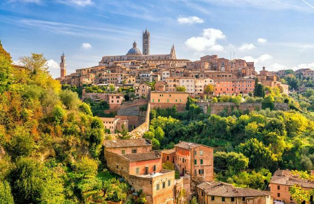 Siena private walking tour with a local