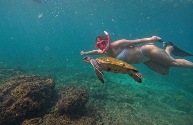 Fujairah snorkelling adventure