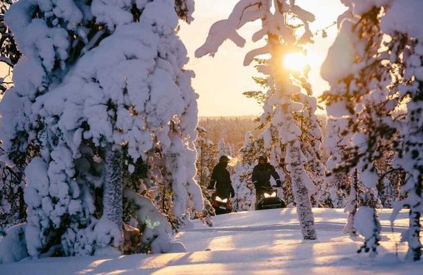 Snowmobiles and huskies in Lapland