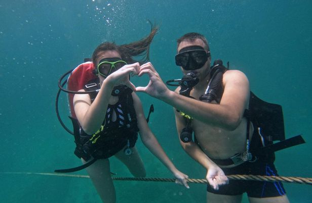 Scuba diving experience in Fujairah